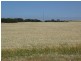 Lot 2 Kain Road, Barabba SA 5460