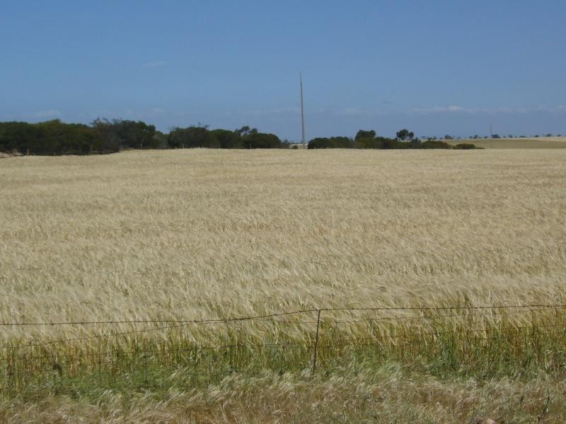 Lot 2 Kain Road, Barabba SA 5460