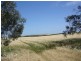 Lot 2 Kain Road, Barabba SA 5460