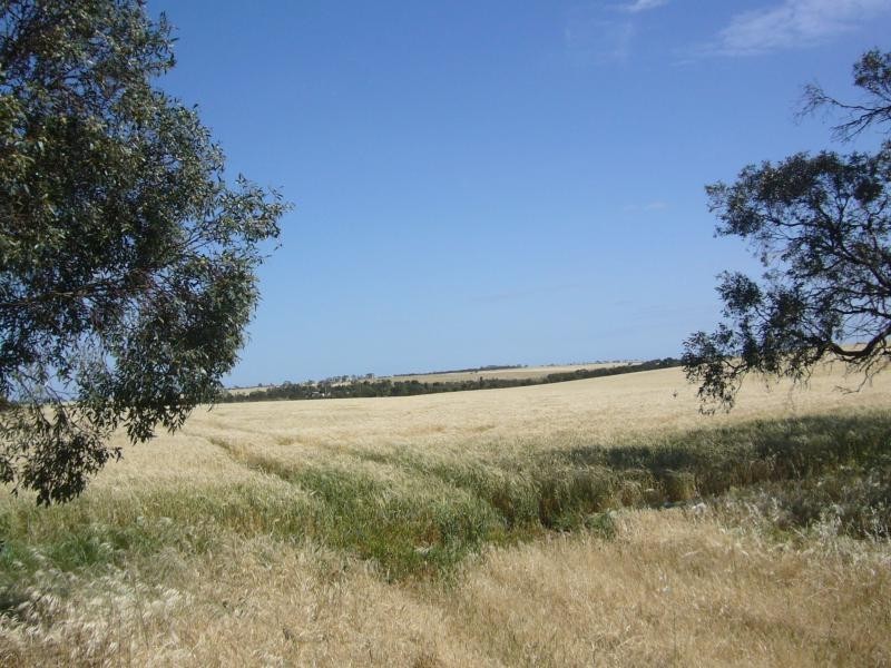Lot 2 Kain Road, Barabba SA 5460