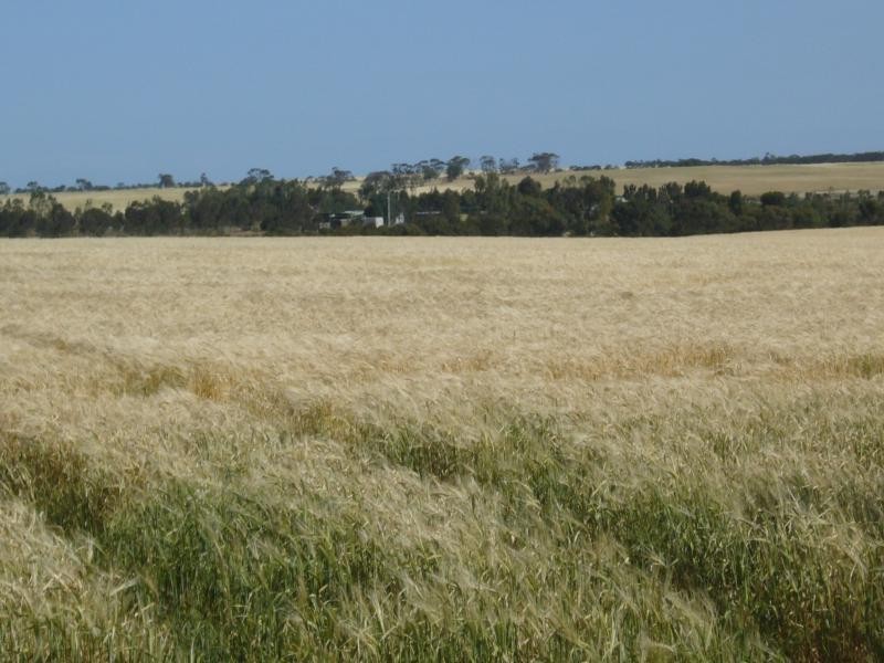 Lot 2 Kain Road, Barabba SA 5460