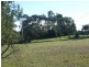 Lot 2 &amp 4 Pimpala Road, Cockatoo Valley SA 5351