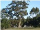 Lot 2 &amp 4 Pimpala Road, Cockatoo Valley SA 5351