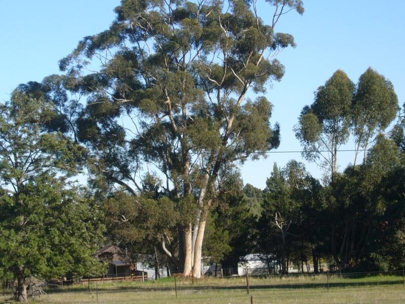 Lot 2 &amp 4 Pimpala Road, Cockatoo Valley SA 5351