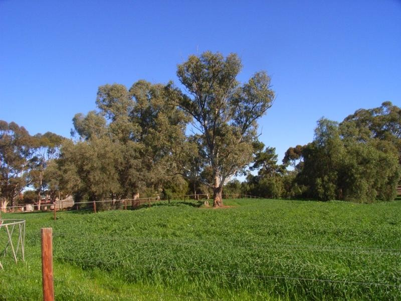 Lot 15 Hillier Road, Hillier SA 5116