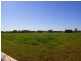 Lot 11 Pearson Road, Hillier SA 5116