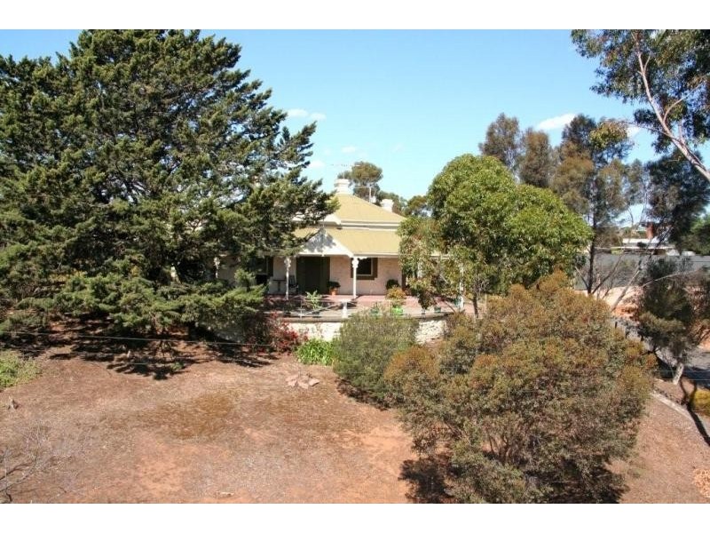 28 Burrows Street, Willaston SA 5118