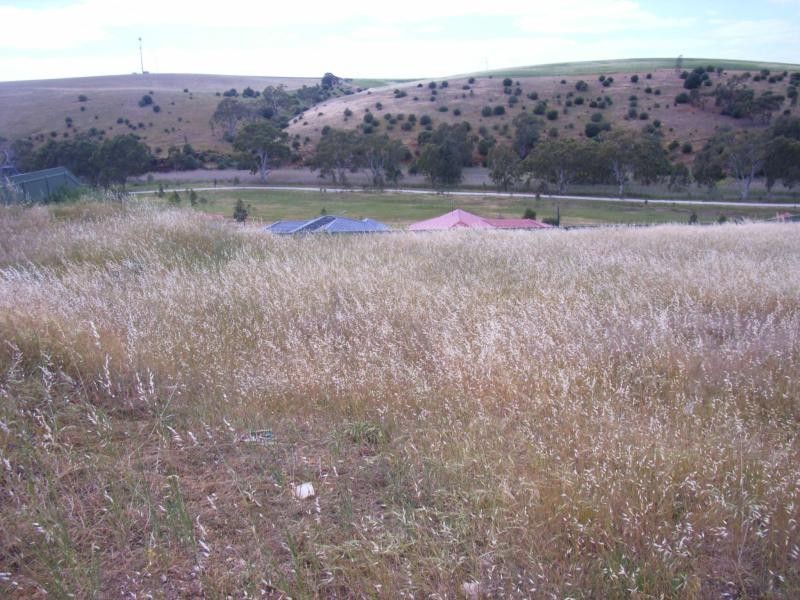 Lot 181/ Carpentaria Way, Hewett SA 5118