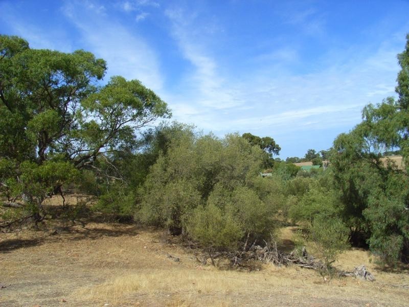 Lot 320/ Mcgilp Road, One Tree Hill SA 5114