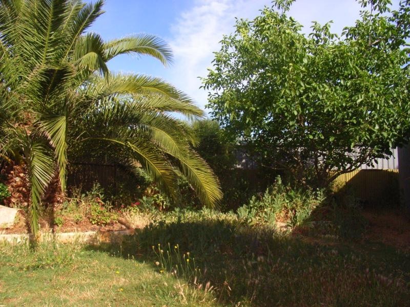 3 Jennifer Street, Evanston Park SA 5116