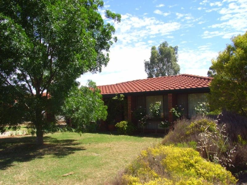 8 Daly Street, Evanston Gardens SA 5116
