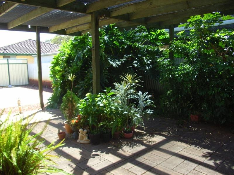 8 Daly Street, Evanston Gardens SA 5116