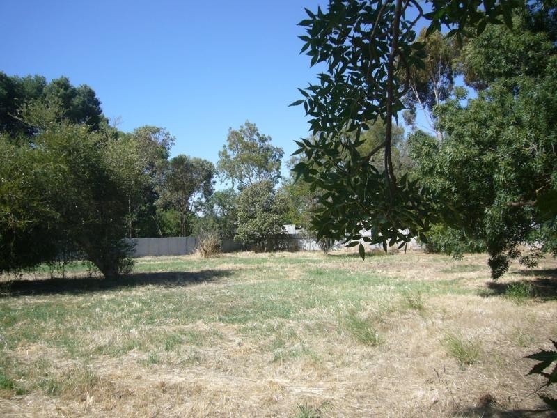 21 Rogers Street, Freeling SA 5372