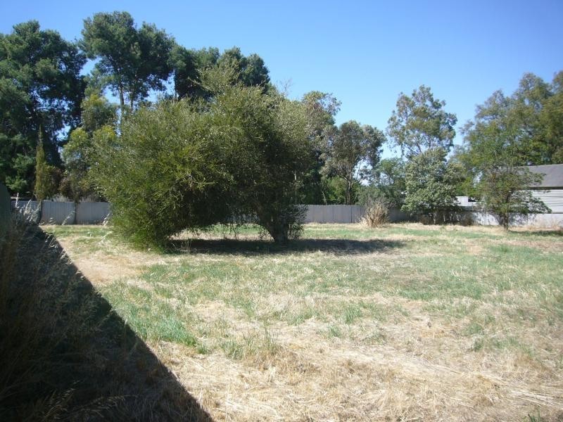 21 Rogers Street, Freeling SA 5372