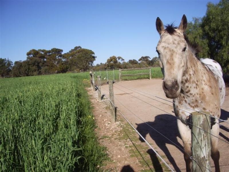 Lot 1/ Clancy Road, Gawler Belt SA 5118