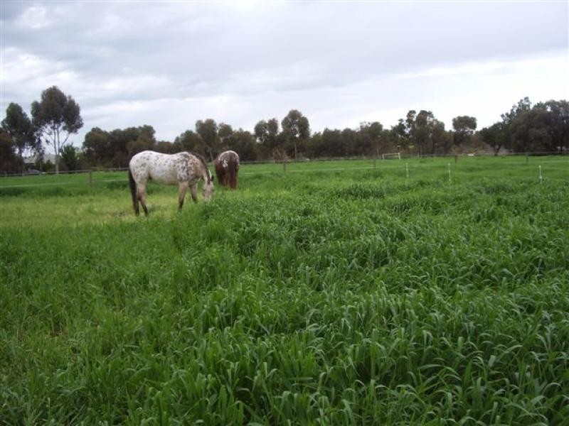 Lot 1/ Clancy Road, Gawler Belt SA 5118