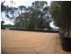 Lot 1/ Clancy Road, Gawler Belt SA 5118
