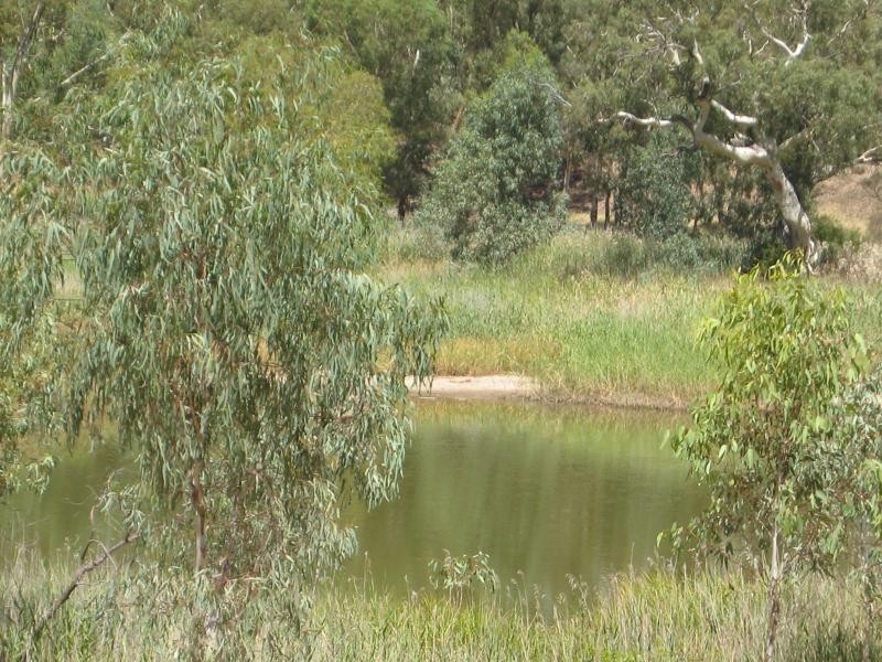 7 River View Drive, Hewett SA 5118