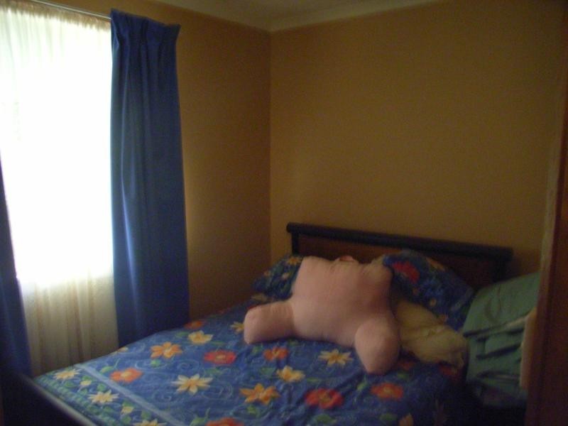 34 Derby Street, Freeling SA 5372