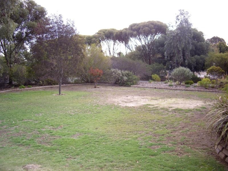 24 Gray Street, Freeling SA 5372