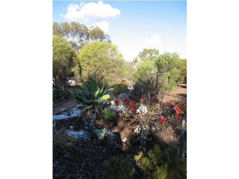 Lot 15/ Krause Drive, Gawler Belt SA 5118