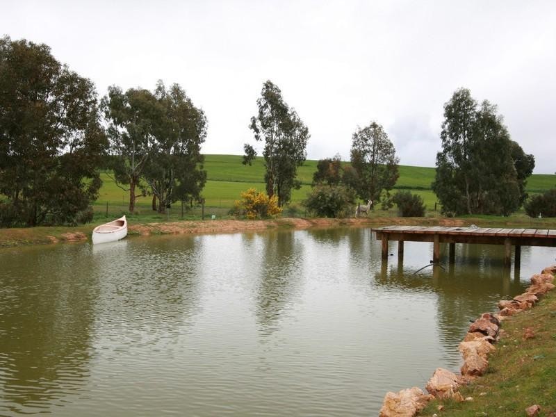 43 Kakatoe Cresent, Cockatoo Valley SA 5351