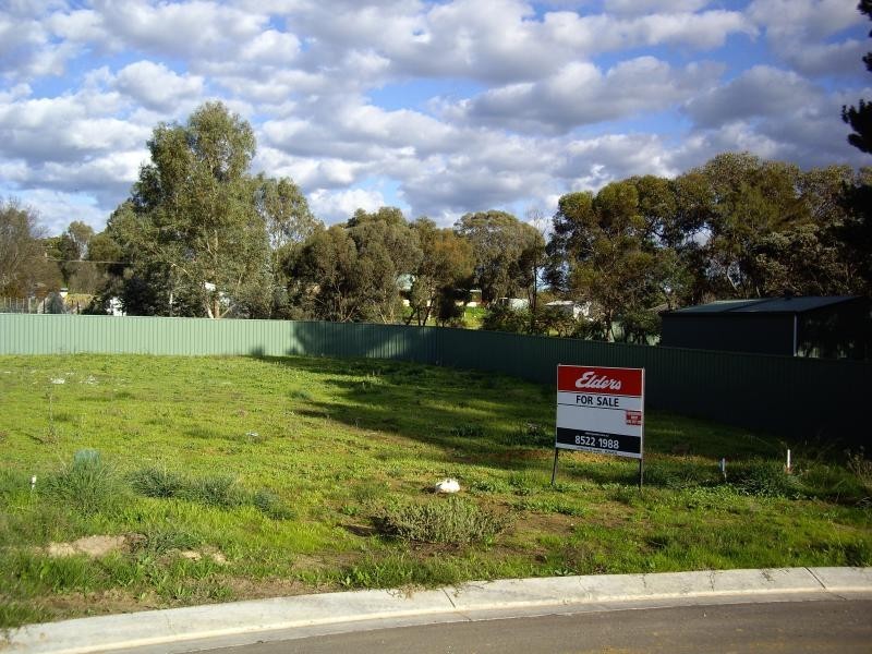 31 Klauber Street, Lyndoch SA 5351