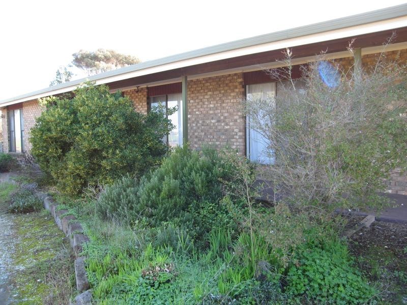 36 Schaefer Street, Freeling SA 5372