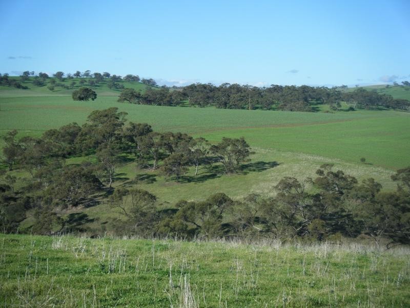 Uleybury SA 5114