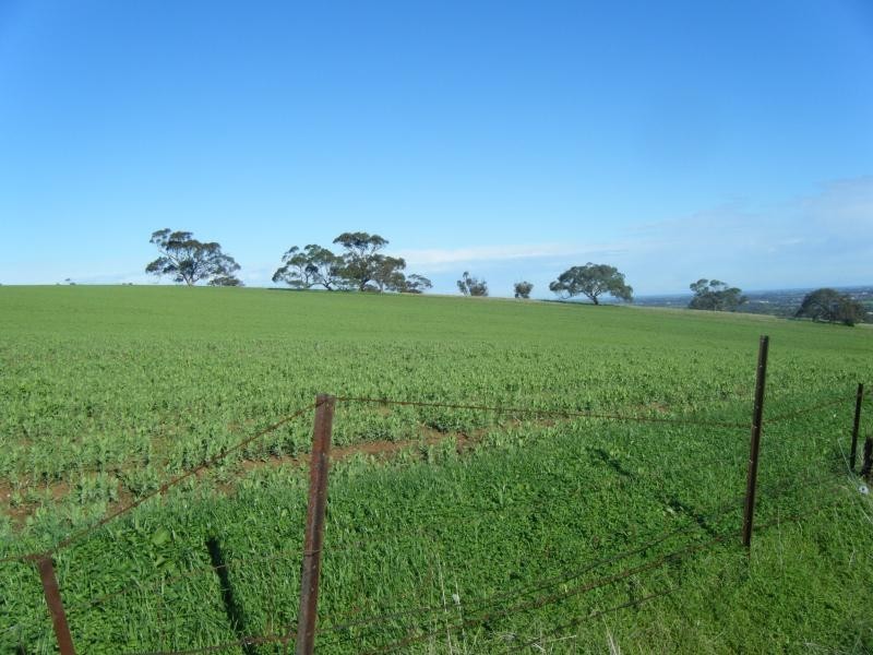 Uleybury SA 5114