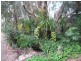 236 Altona Road, Altona SA 5351