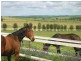 Lot 51 Rosedale Scenic Road, Rosedale SA 5350