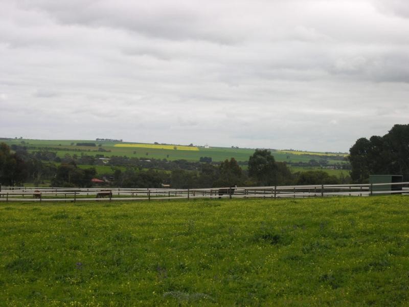 Lot 51 Rosedale Scenic Road, Rosedale SA 5350