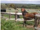 Lot 51 Rosedale Scenic Road, Rosedale SA 5350