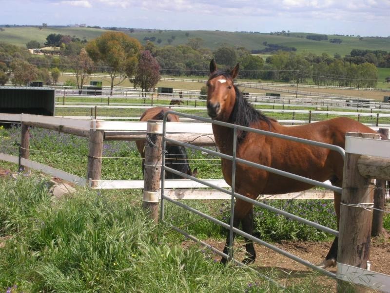 Lot 51 Rosedale Scenic Road, Rosedale SA 5350