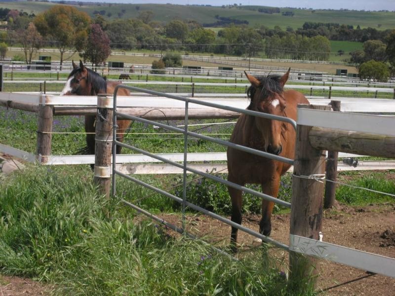 Lot 51 Rosedale Scenic Road, Rosedale SA 5350