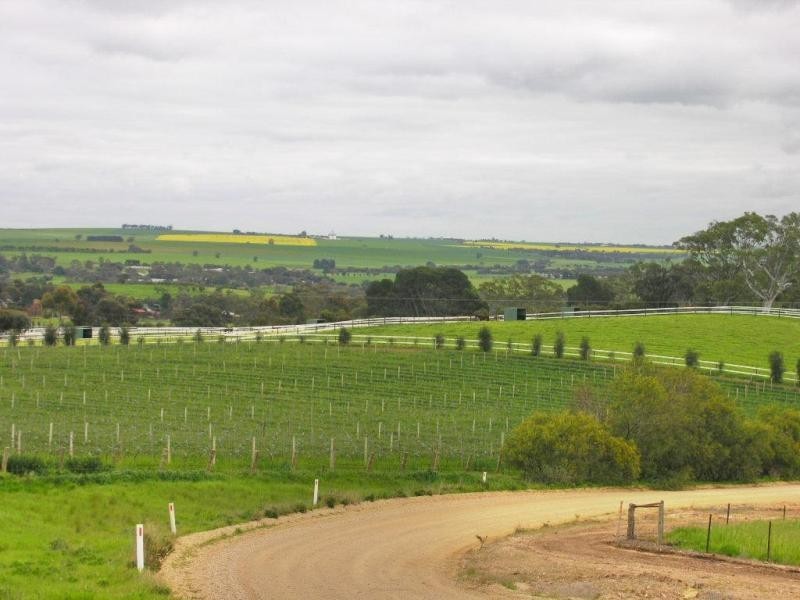 Lot 51 Rosedale Scenic Road, Rosedale SA 5350