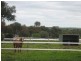 Lot 51 Rosedale Scenic Road, Rosedale SA 5350