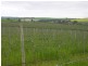 Lot 51 Rosedale Scenic Road, Rosedale SA 5350