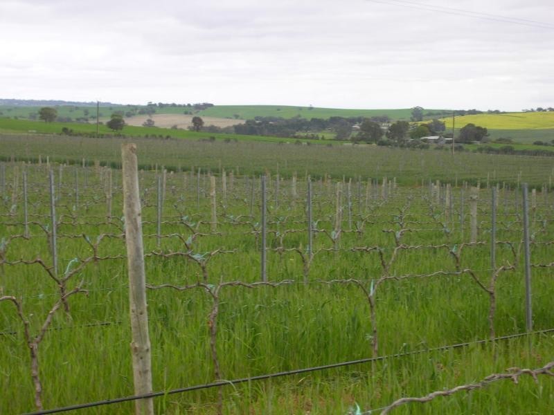 Lot 51 Rosedale Scenic Road, Rosedale SA 5350
