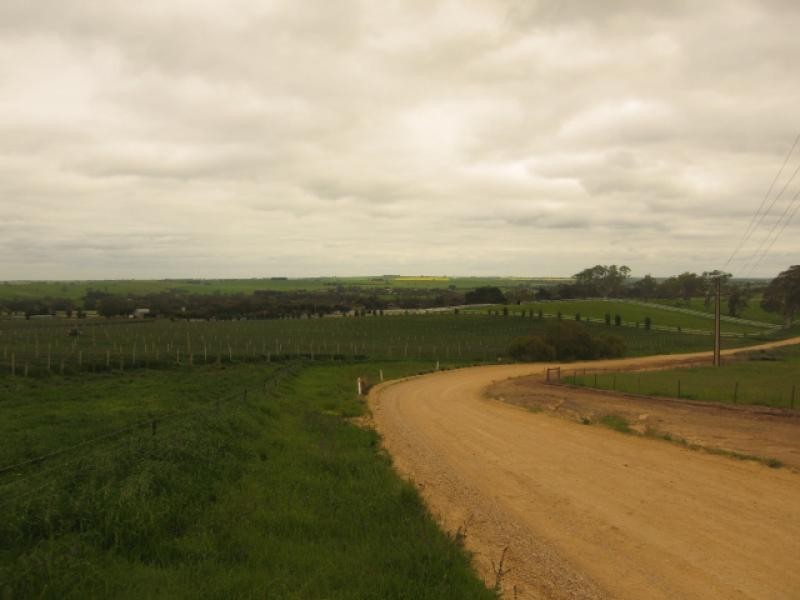 Lot 51 Rosedale Scenic Road, Rosedale SA 5350