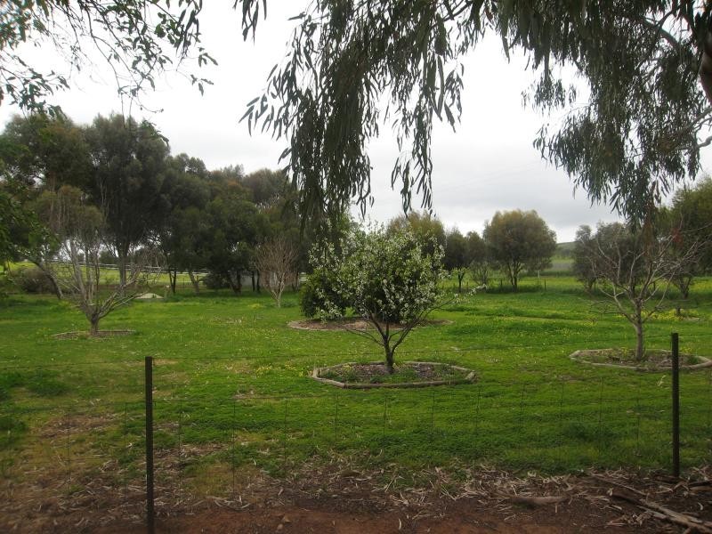 Lot 51 Rosedale Scenic Road, Rosedale SA 5350