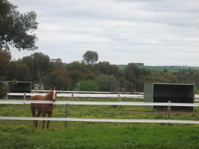 Lot 51 Rosedale Scenic Road, Rosedale SA 5350