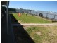 Section 488 Lange Road, Freeling SA 5372