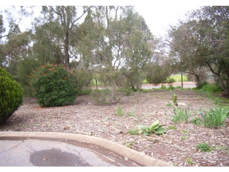 10 First Avenue, Hillier SA 5116