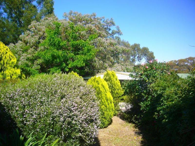 7 Cundy Court, Williamstown SA 5351