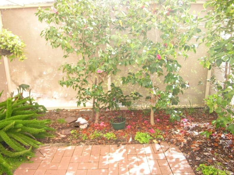 6 Menge Court, Lyndoch SA 5351