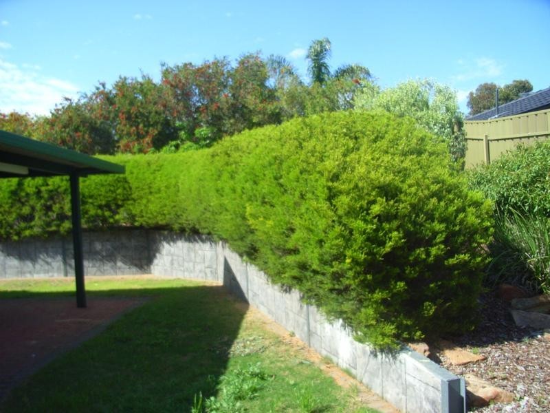 27 Congdon Street, Gawler East SA 5118