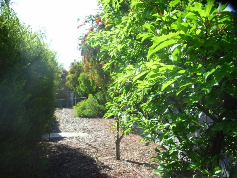 27 Congdon Street, Gawler East SA 5118