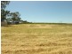 Lot 512 & 513 Malcolm Street, Hamley Bridge SA 5401